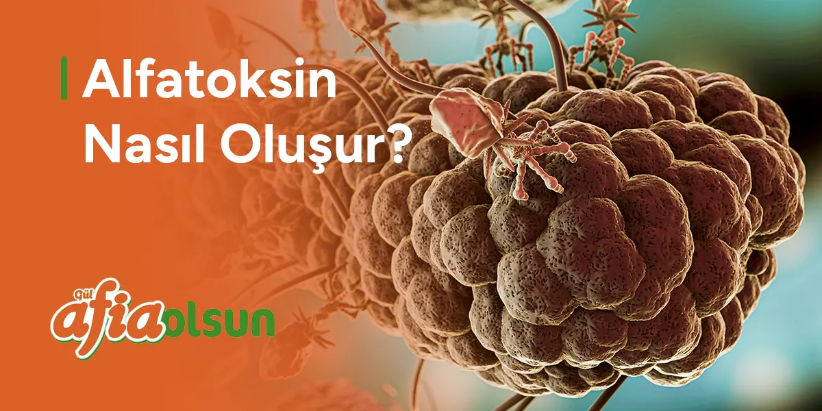 alfa-toksin-nasil-olusur