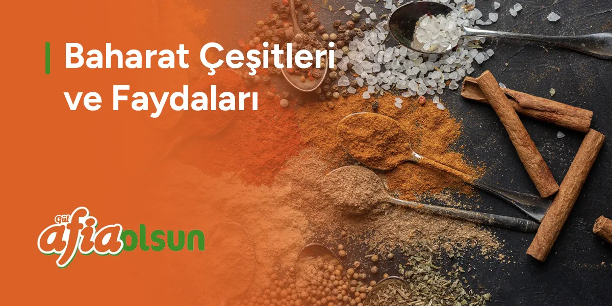 baharat-cesitleri-ve-faydalari