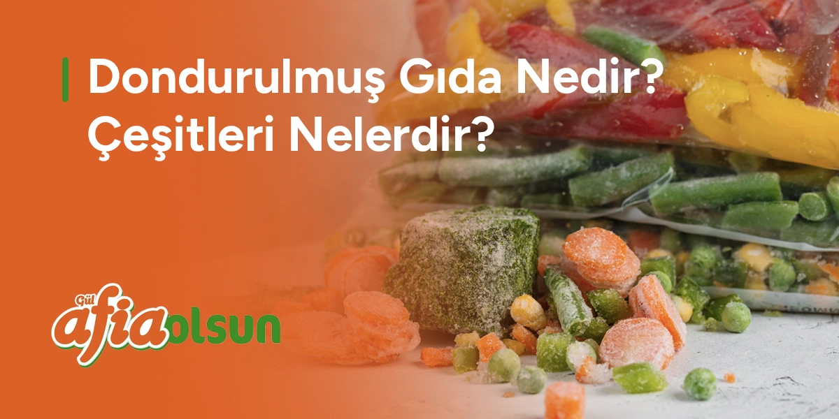 dondurulmus-gida-nedir-cesitleri-nelerdir