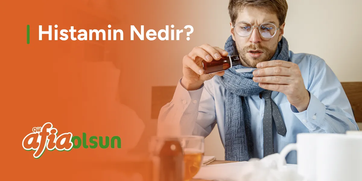 histamin-nedir