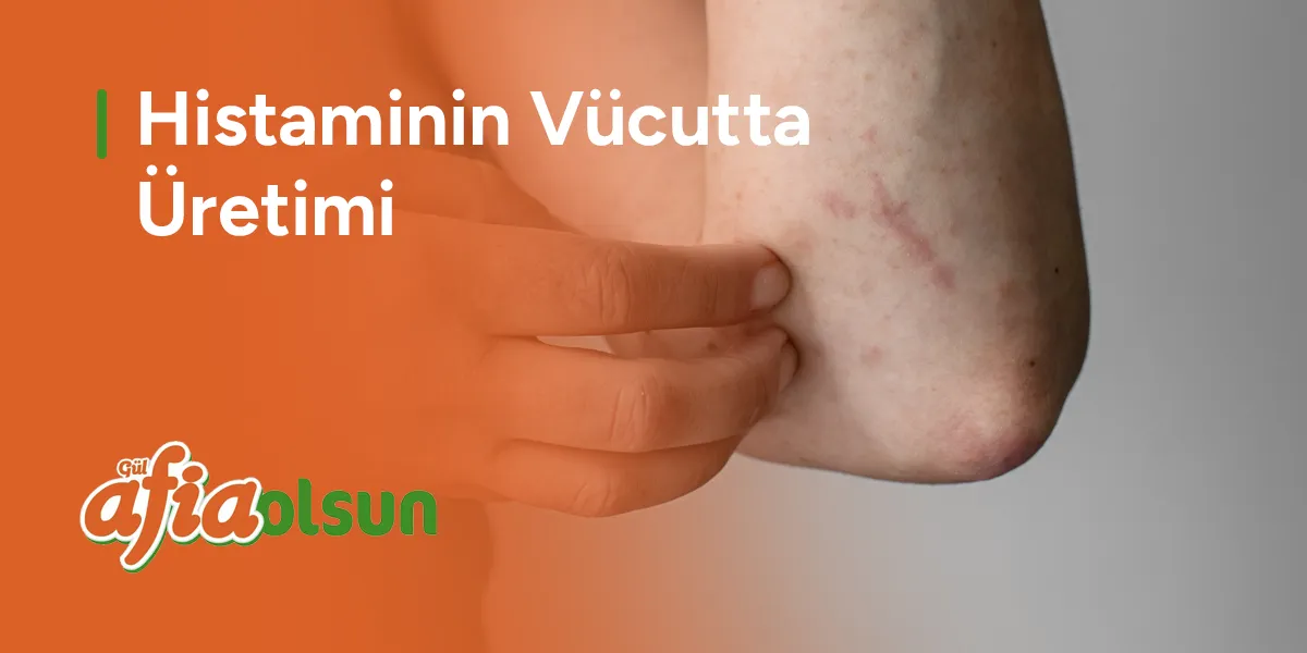 histaminin-vucutta-uretimi