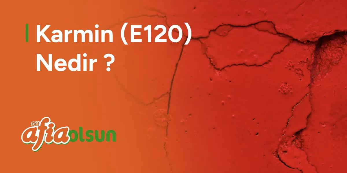 karmin-(E120)-nedir