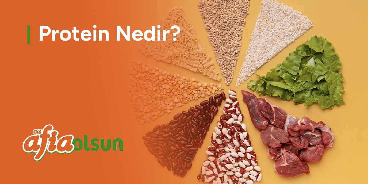 protein-nedir