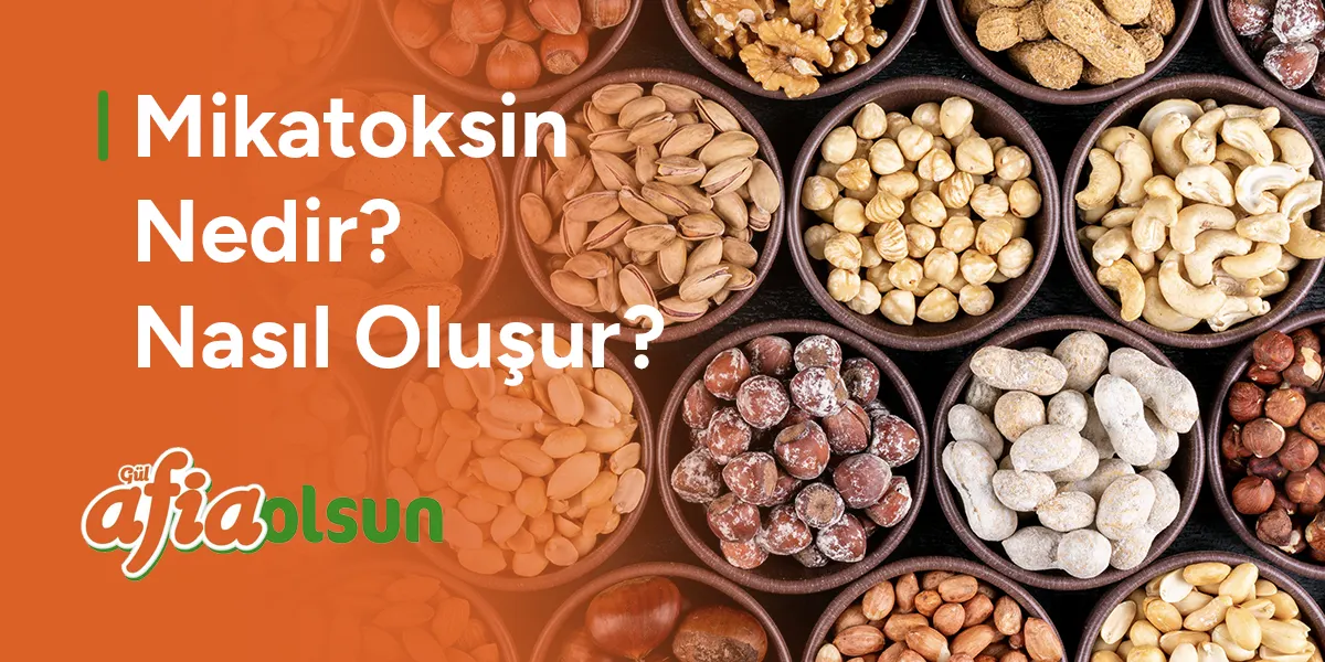 mikatoksin-nedir-nasil-olusur-temperleme-nasil-yapilir