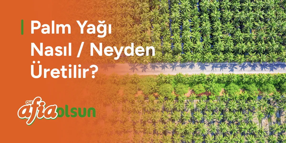 palm-yagi-nasil-neyden-uretilir