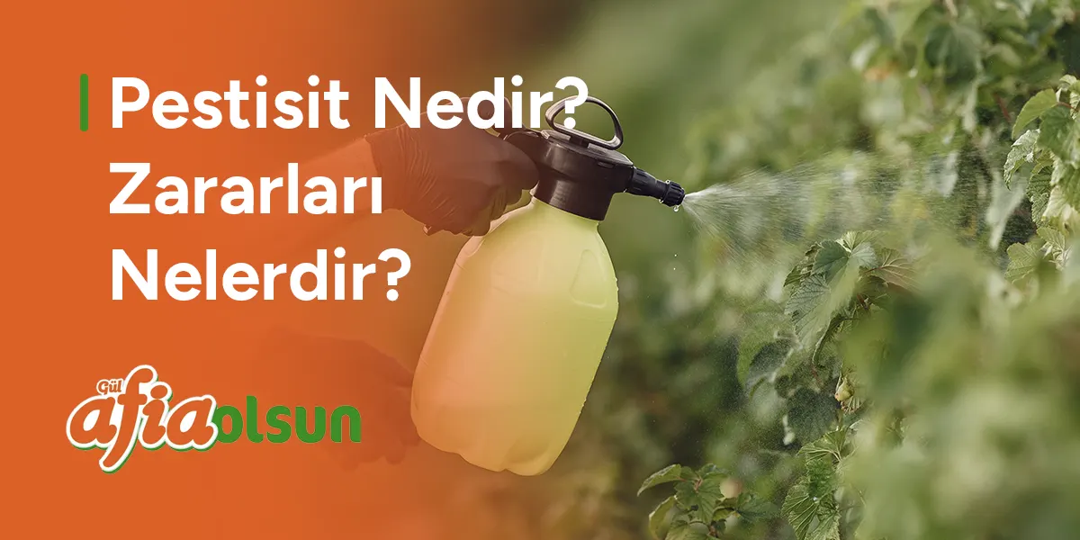 pestisit-nedir-zararlari-nelerdir