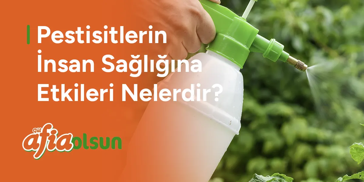 pestisitin-insan-sagligina-zararlari-nelerdir