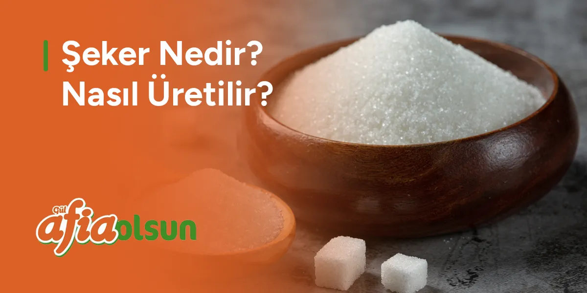 seker-nedir-nasil-uretilir