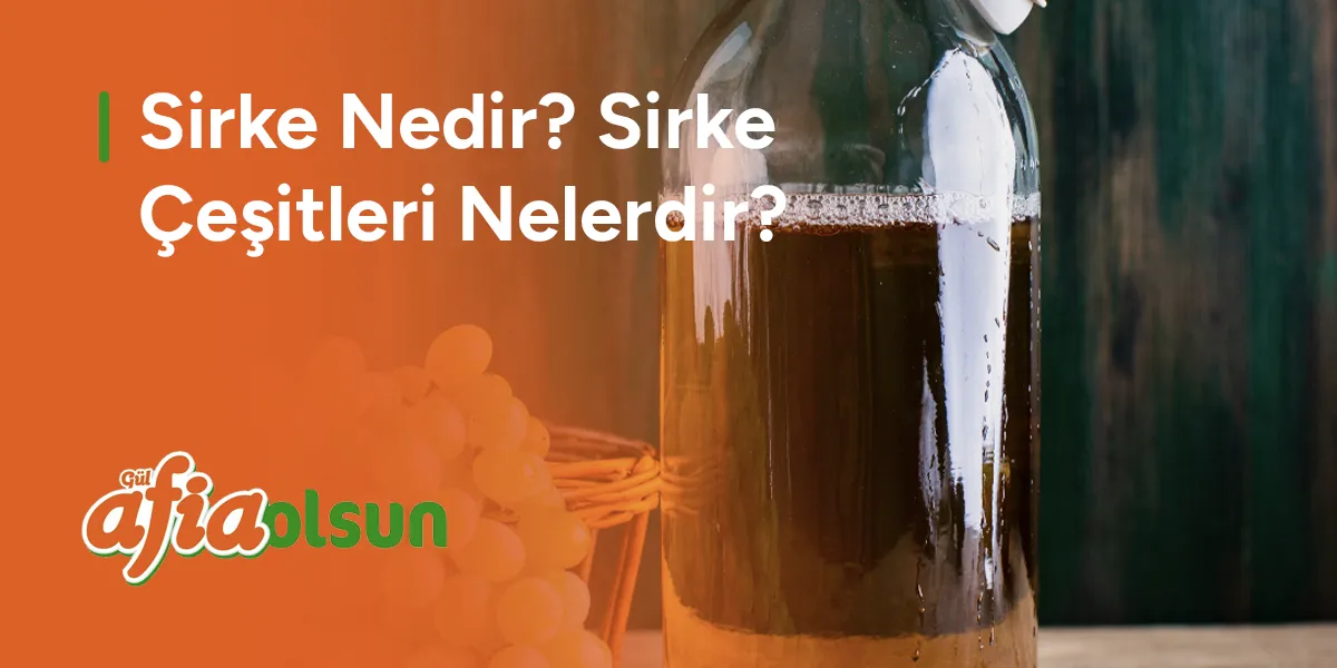 sirke-nedir-sirke-cesitleri-nelerdir