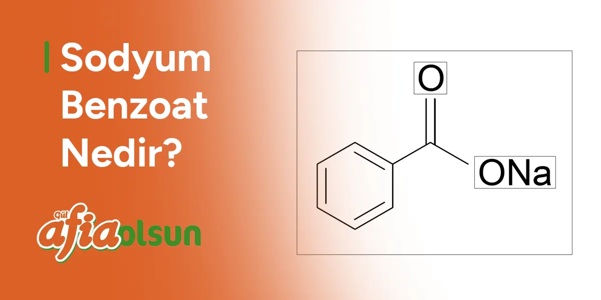 sodyum-benzoat-nedir