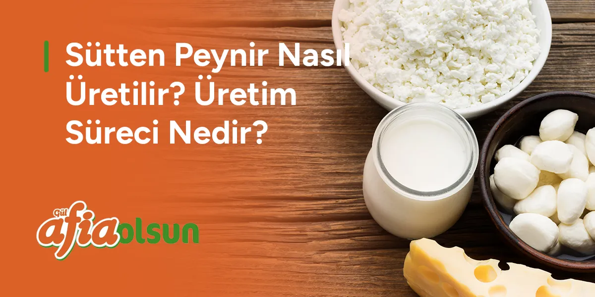 sutten-peynir-nasil-uretilir-uretim-sureci-nedir