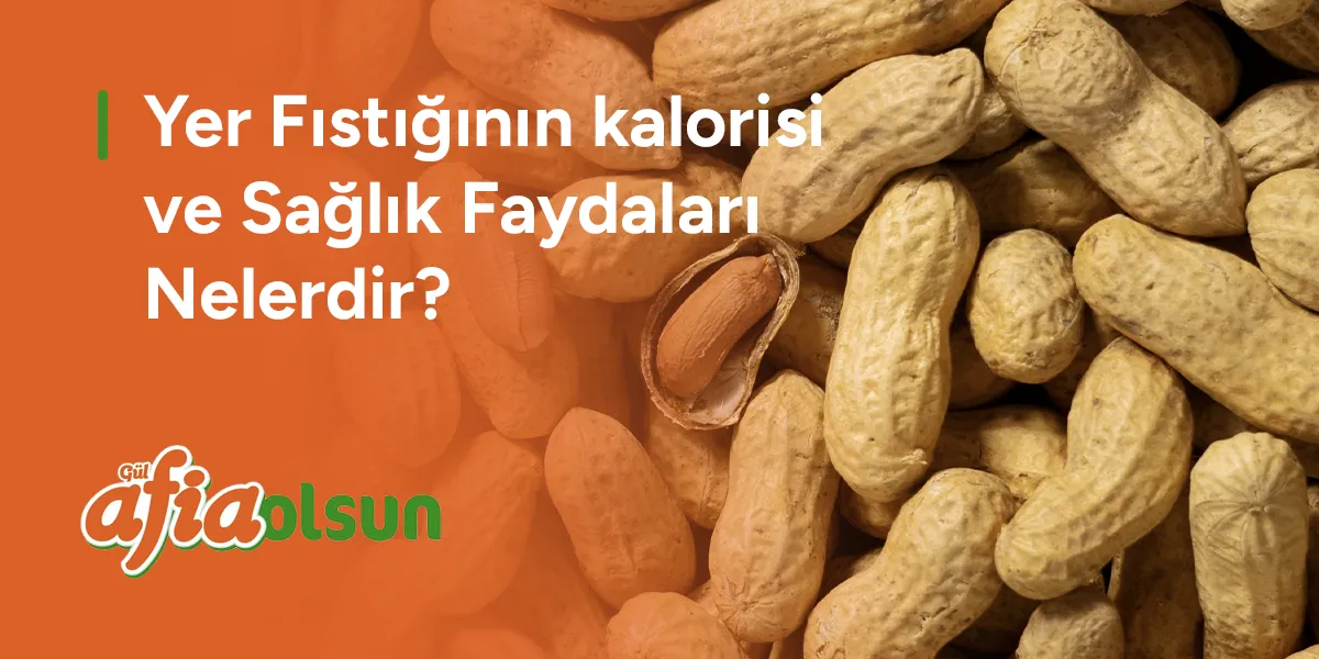 yer-fistiginin-kalorisi-ve-saglik-faydalari-nelerdir