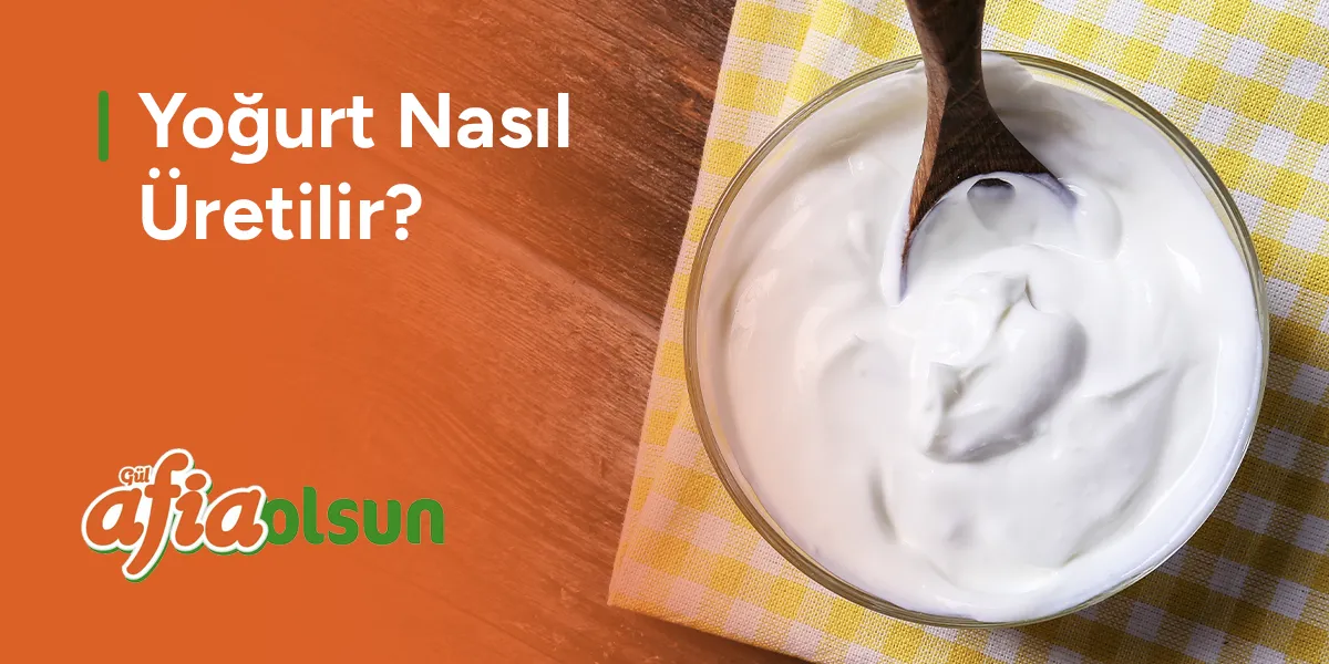 yogurt-nasil-uretilir