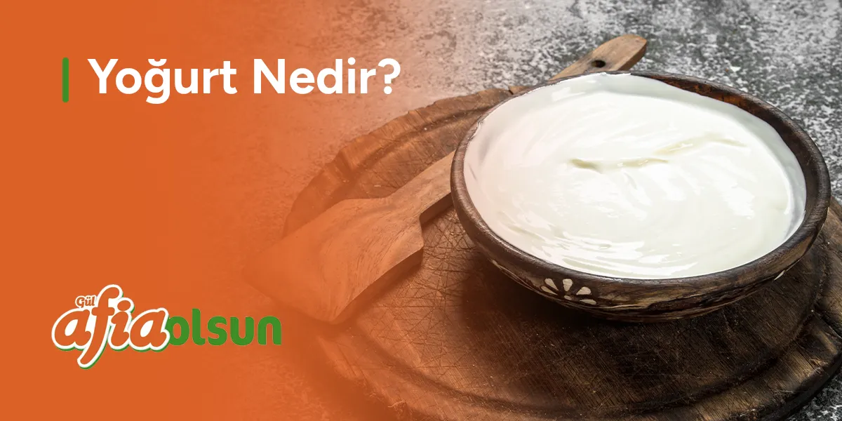 yogurt-nedir