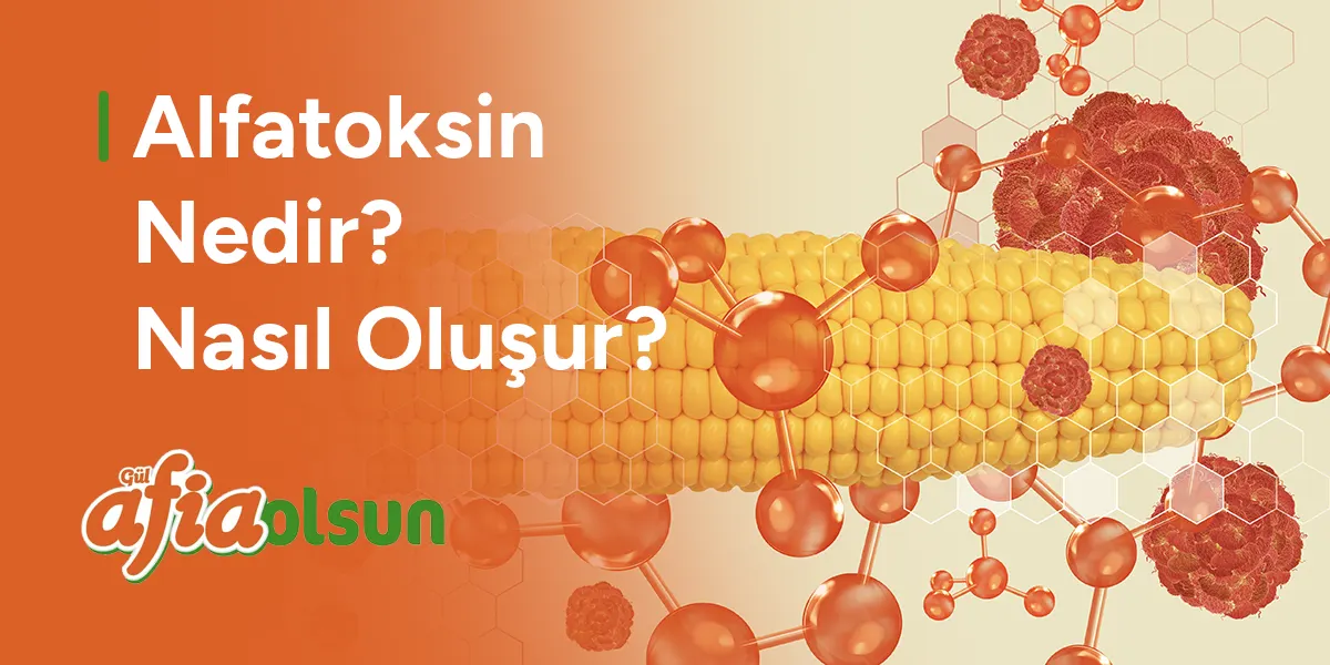 alfatoksin-nedir-nasil-olusur