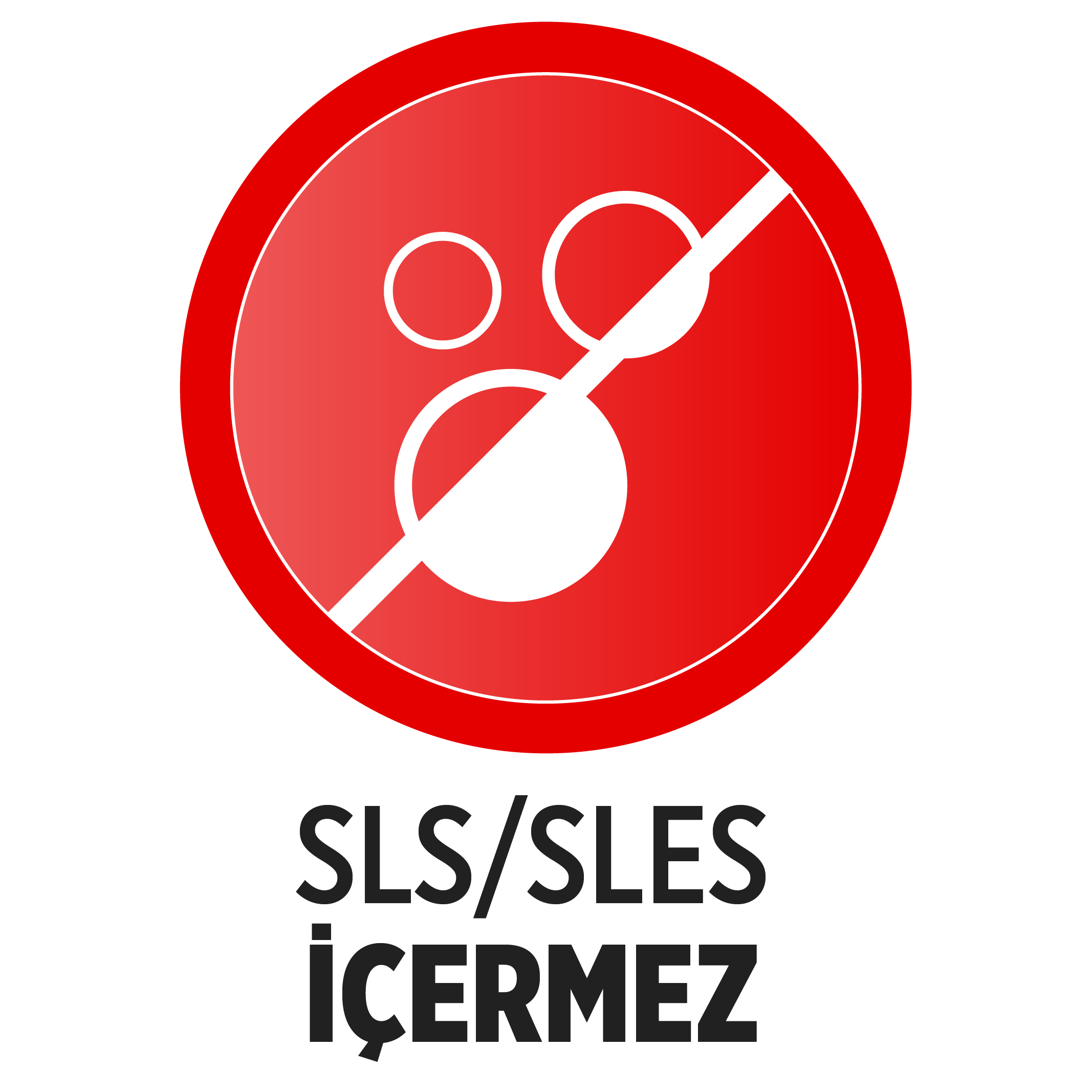 sls-icermez.png (133 KB)